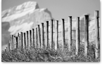 Country fence